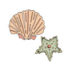 Starfish and shell green and pink. Vector object on white background. Retro style. Vintage. In isolation. Hand drawing. The nature of the ocean.