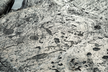 Ancient engravings petroglyphs on the stone plates of Onega lake shore