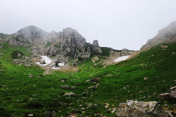 Naklejka premium 北アルプス笠ヶ岳への道 縦走路 秩父平から抜戸岳への登り 