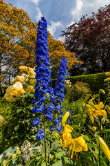 gardens at kiftgate court in the cotswolds england uk
