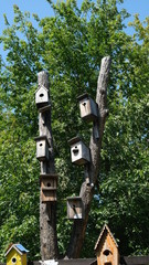 different birdhouses on the trees