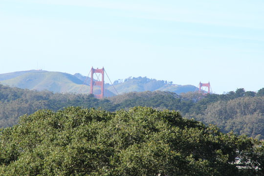 Golden Gate into the woods