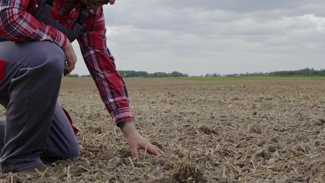 Farmer cheking soil on a field