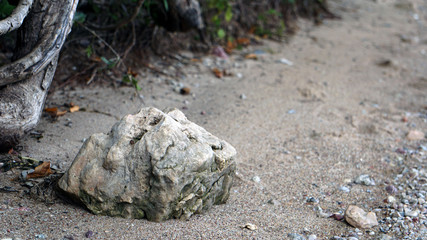 A rock in the beach
