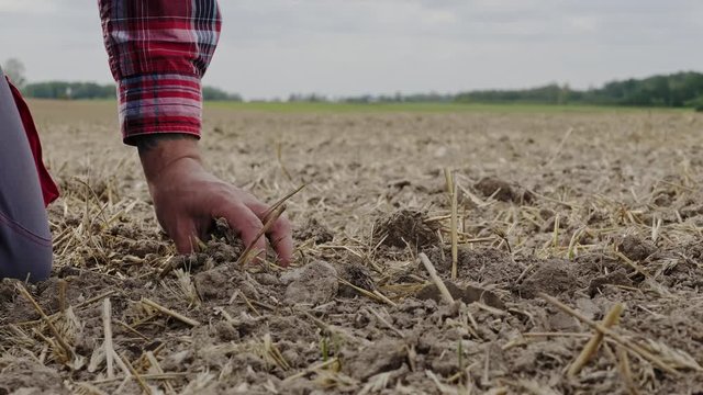 Farmer cheking soil on a field