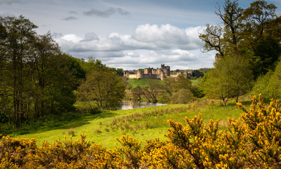 Obraz premium View of Alnwick Castle in Northumberland taken in the spring.