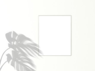 4x5 vertical White frame for photo or picture mockup on white background with shadow of monstera leaves. 3D rendering.