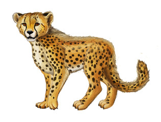 cartoon scene with young cheetah resting on white background illustration for children