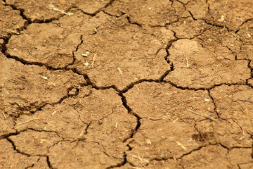 cracked soil texture,land dirt nature