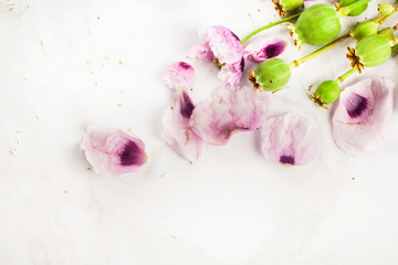 Purple lilac poppy flowers bouquet and green poppy seed heads bud and petals cute gentle romance flat lay frame top view on marble background with free copy space for text