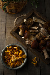 Fresh uncooked forest mushrooms on rustic wooden background, top view, vertical orientation