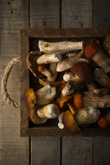 Fresh uncooked forest mushrooms on rustic wooden background, top view, vertical orientation