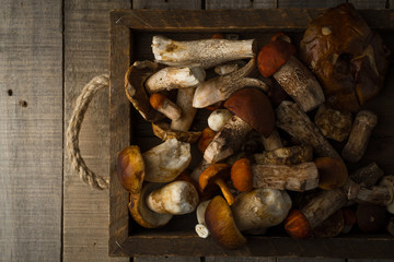 Fresh uncooked forest mushrooms on rustic wooden background, top view, horizontal orientation, with copy space