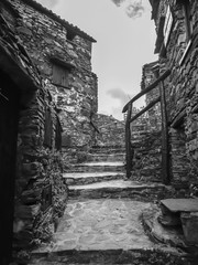 Fototapeta na wymiar Village with shale houses in black and white