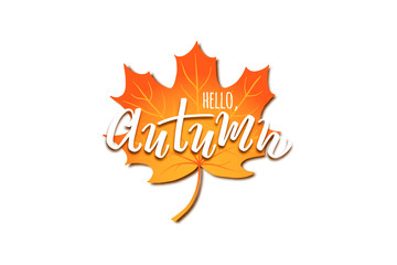 Vector hand drawn text Hello Autumn with 3d maple isolated on white background for seasonal promo and sales, printing, autumn holidays greeting card, invitation, Thanksgiving day design.