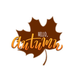 Vector hand drawn text Hello Autumn with maple reflection isolated on white background for seasonal promo and sales, printing, autumn holidays greeting card, invitation, Thanksgiving day design.