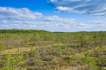 Aerial view of Kurjenrahka National Park. Turku. Finland. Nordic natural landscape. Scandinavian national park. Photo made by drone from above.