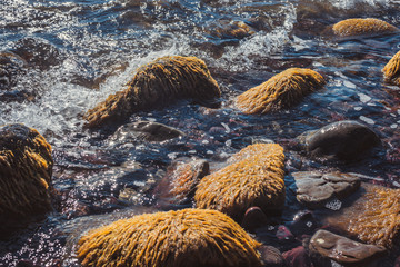 Picturesque sea coast