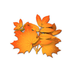 Naklejka na ściany i meble Realistic vector bouquet of autumn leaves - orange maple and rowan tree leaf isolated without background for seasonal sales, promo, autumn greeting card, logo, Thanksgiving day invitation, school