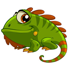 Iguana 