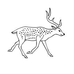Vector hand drawn doodle sketch deer isolated on white background