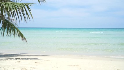 The coconut tree leaves with background with  sea waves on the beach for background