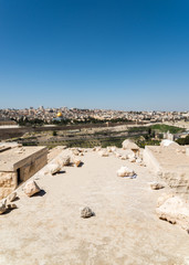 Old Jerusalem Panorama from Mount of Olives