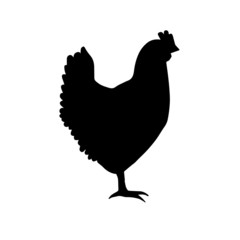 Vector black silhouette of chicken isolated on white background