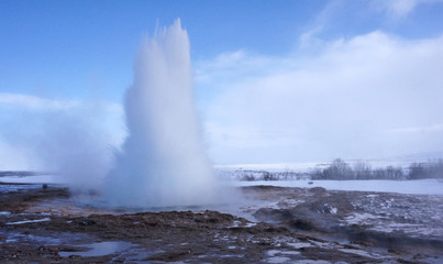 Geyser in Iceland