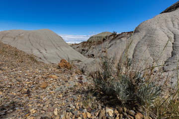 The Badlands of Albert in Canada