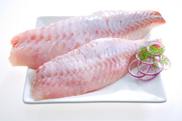 Rotbrasch Filet