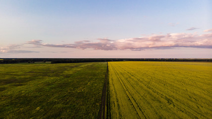 Aerial shot. Beautiful view of the road between two fields stretching over the horizon