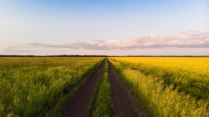 Aerial shot. Country road in  flowering field stretching over the horizon