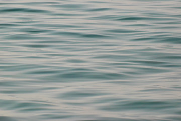 Summer Cyprus Wild Sea Side