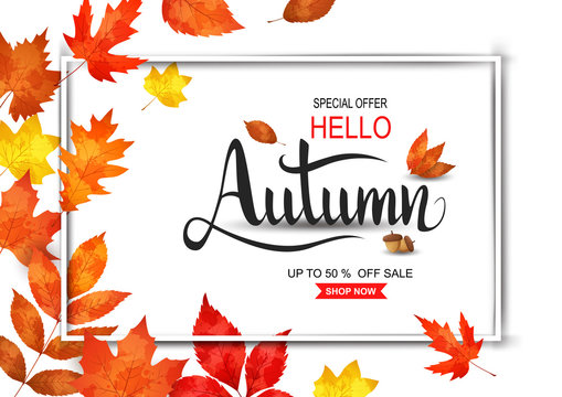 Autumn sale background with leaves for shopping sale or promo poster and frame. Vector illustration 