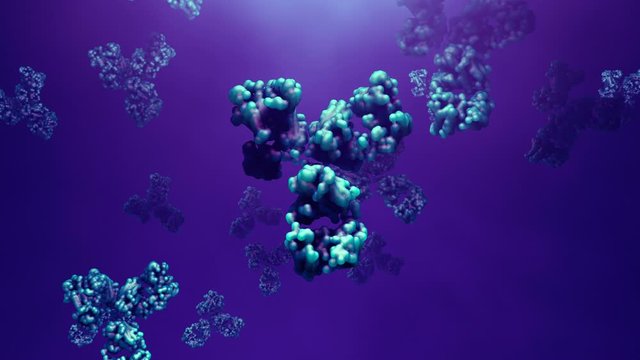 Antibodies protect against microbes