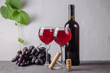 Winemaking concept from fresh autumn grape harvest