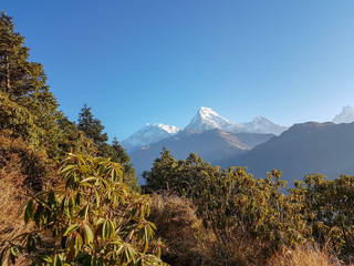 Annapurna Base Camp hiking trek, Himalayas, Nepal. November, 2018. Panoramic view of Dhaulagiri Mountain Range