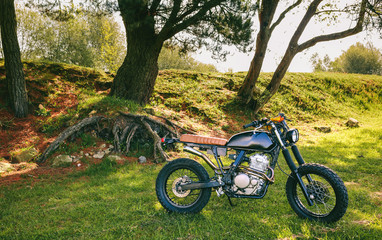 Fototapeta premium Beautiful vintage custom motorcycle parked in the field