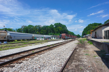 Obraz premium SONY DSC