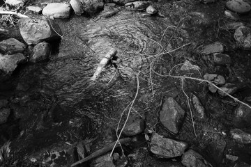 corsi d'acqua in norvegia