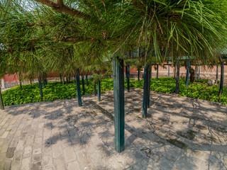 Fototapeta premium bridge in the park