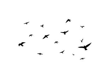 Foto op Canvas A flock of flying birds. Vector illustration © Мария Неноглядова