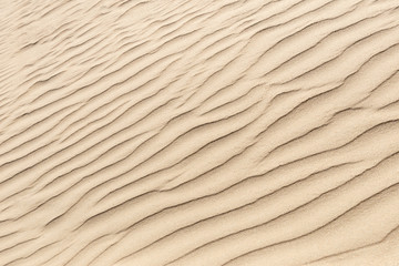 Fototapeta na wymiar nature background of smooth sand wave texture