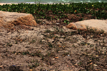 plowed field in spring