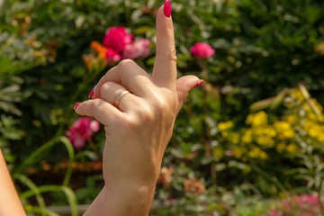gestures with female hands. female hands show the fuck symbol. number of fingers. female hands on a background of flo