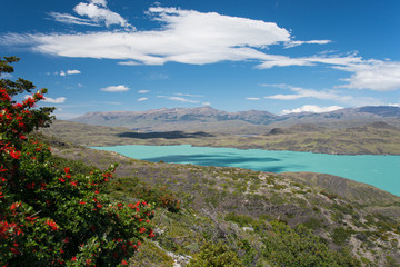 Lago Nordenskjöld im Nationalpark Torres del Paine