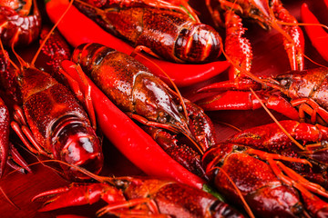 Fresh cooked crayfish in ice cubes
