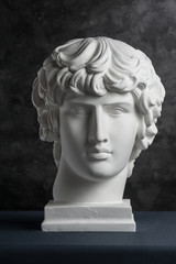Gypsum copy of ancient statue Antinous head on dark textured background. Plaster sculpture man face.