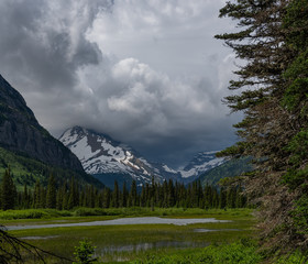 Marshy River in Glacier Wilderness